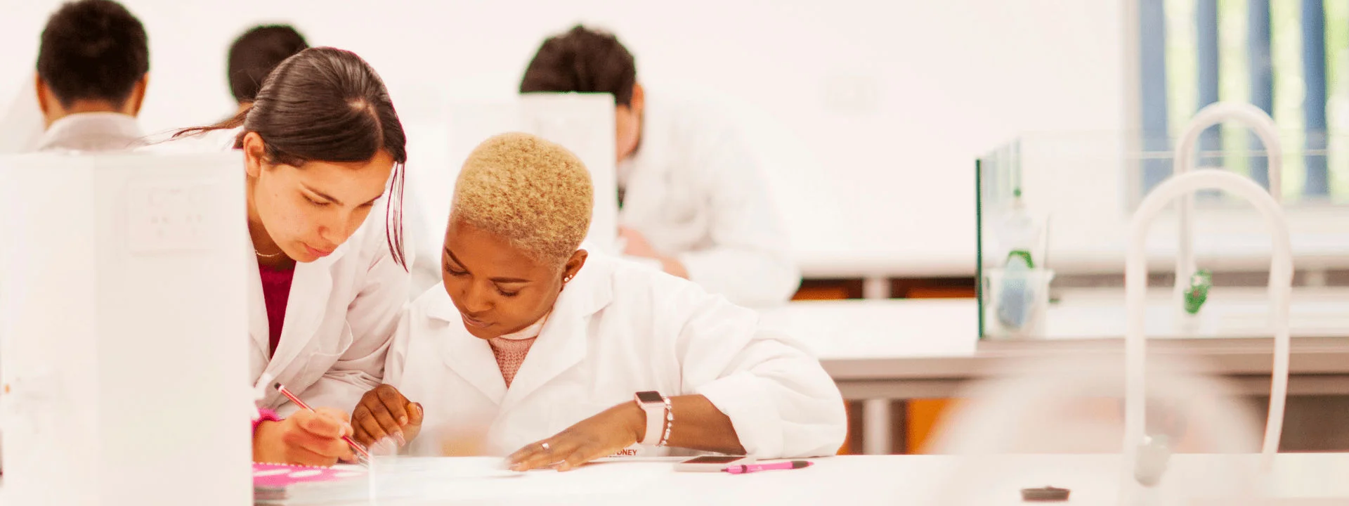 Education at Western,Teach at Western Education at Western,Teach at Western