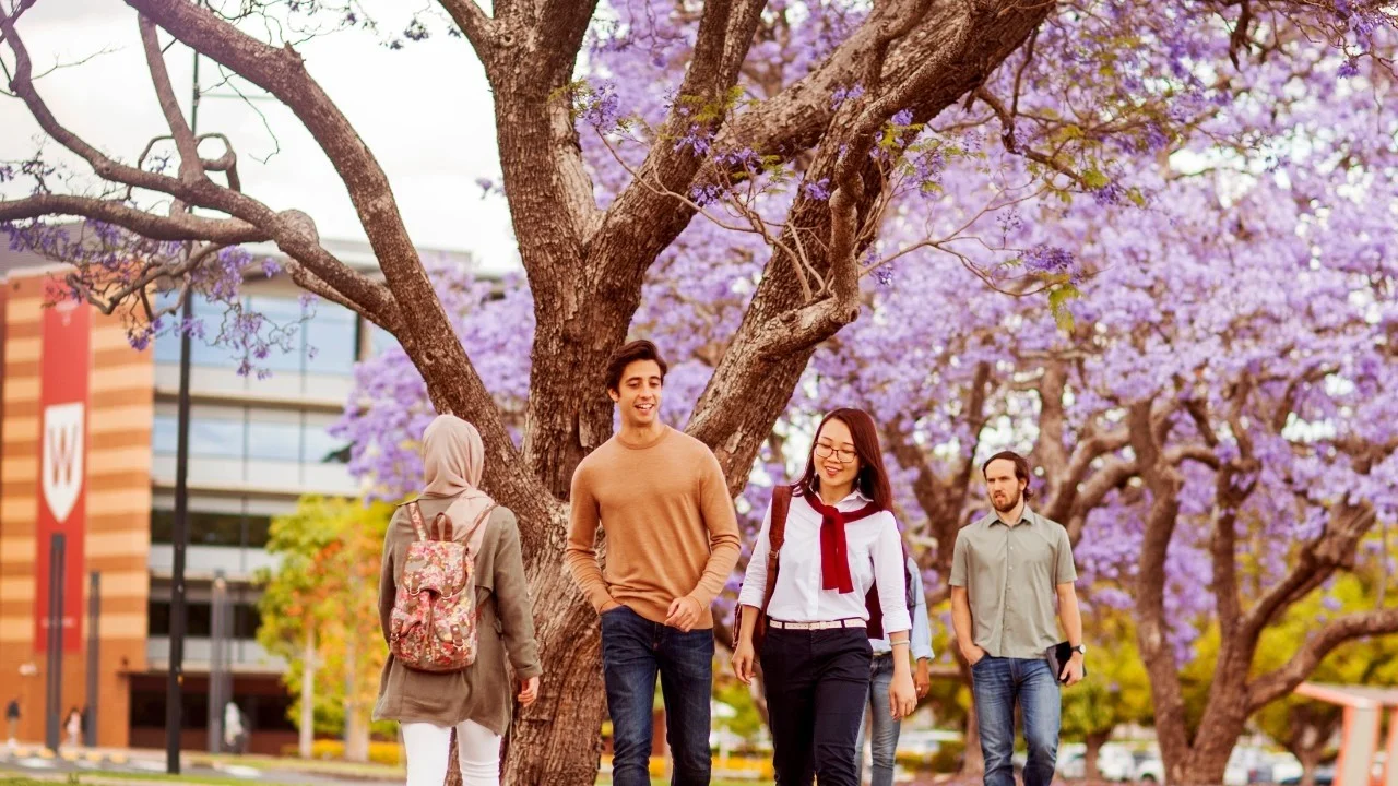 Life after Western Life after Western