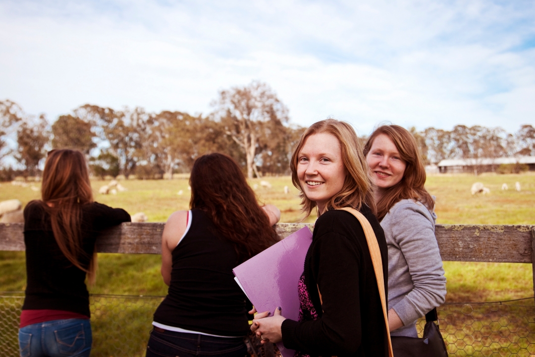 Arriving at Western Arriving at Western